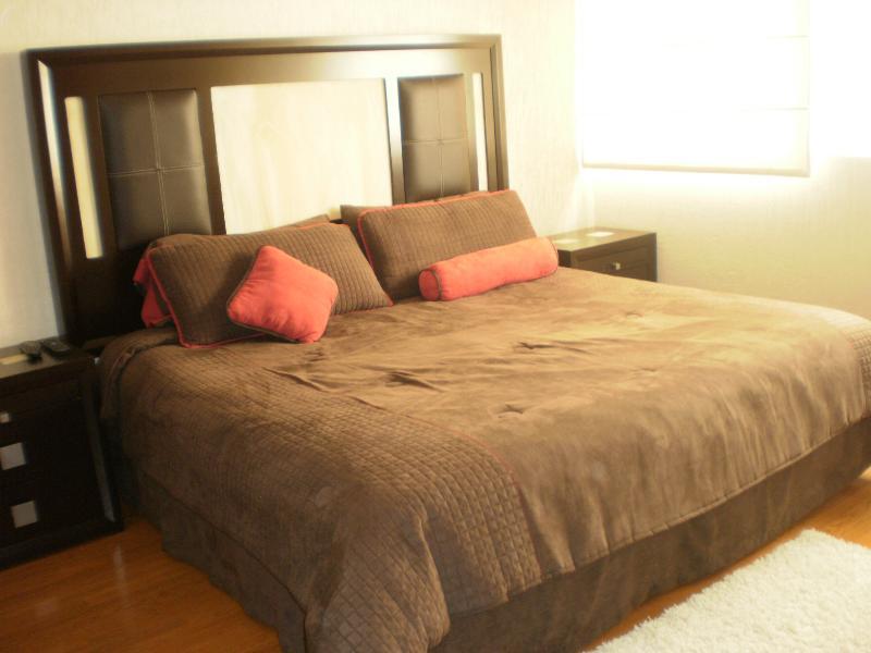 Steinhaus Suites Hamburgo Ciudad de México Exteriér fotografie